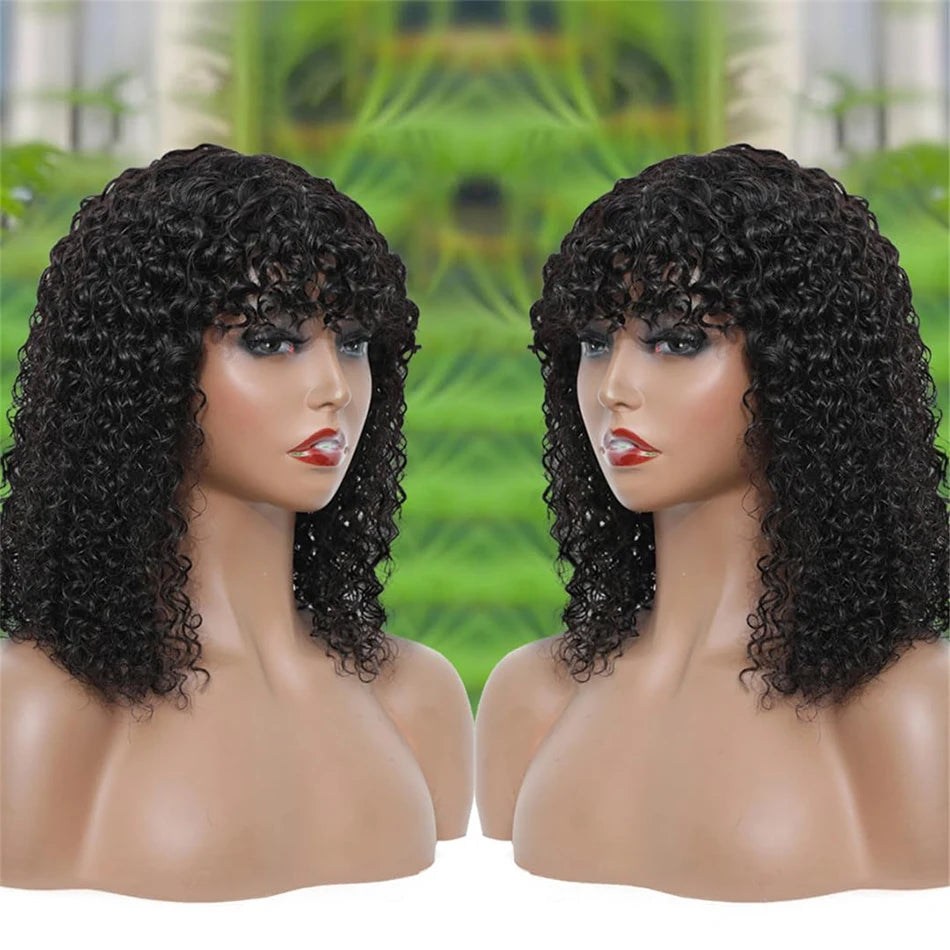 Curly Human Hair Wigs For Women 100% Human Hair