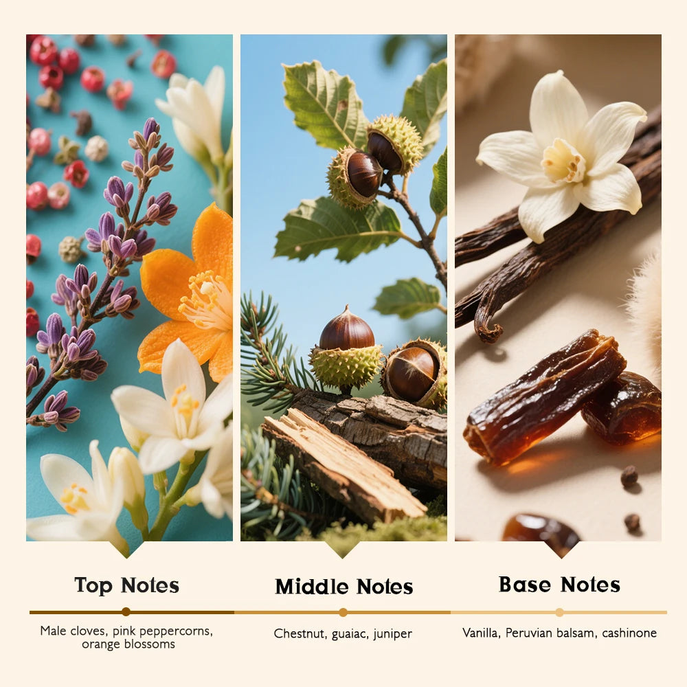 TROVEZ Fireplace Flame 100ml Perfume Arab Wood Tone Long-lasting Fragrance Unisex Perfume Body Spray Scent Gifts Aroma Men Women